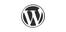 Desenvolvimento de site em Curitiba Wordpress